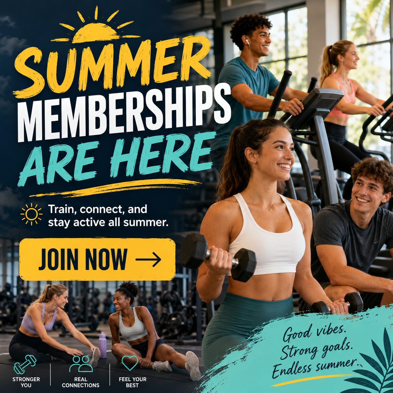 Summer Memberships